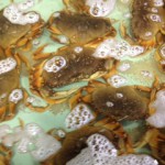 2021 Dungeness Crab Season Update